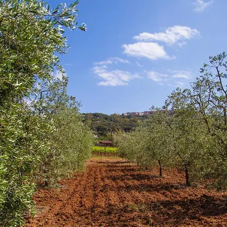 Country Da Pilade 3* Capoliveri